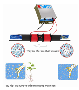 Thiết bị Ewater tăng hoạt tính nước và chống vôi bám trên đường ống